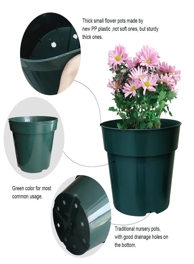 RooTrimmer 50 Pack 6 inch Nursery Pots, Planting Grow Plastic Flower Pots, Thick Planters with Drainage Holes for Outdoor/Indoor Plants Succulent Herb (Green) - Image 3