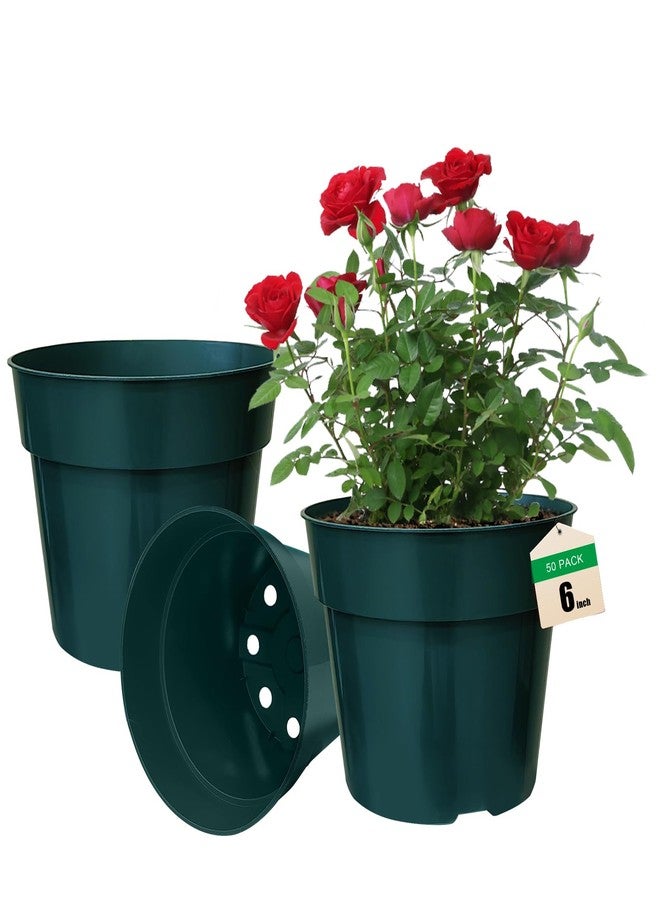 RooTrimmer 50 Pack 6 inch Nursery Pots, Planting Grow Plastic Flower Pots, Thick Planters with Drainage Holes for Outdoor/Indoor Plants Succulent Herb (Green) - Image 1