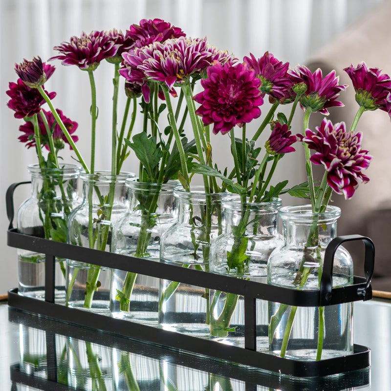 Le'raze 6pc Glass Flower Vase with Metal Holder, Best Vases Set for Home & Table Decor Flowers, Wedding Decorations, Kitchen, Bathroom, Bedroom, Modern Shelf Decor, Terrarium Arrangement - Image 1