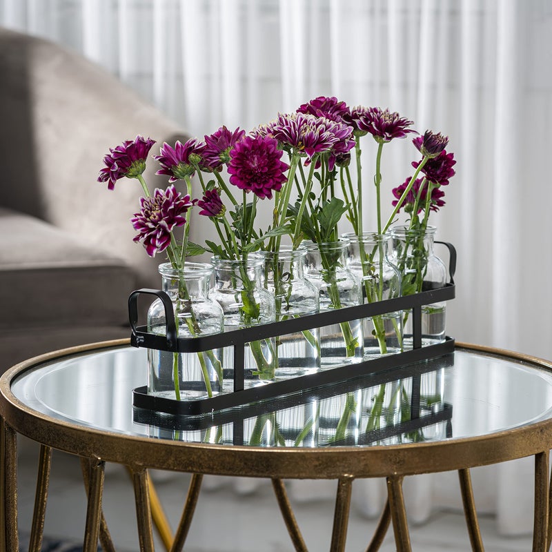 Le'raze 6pc Glass Flower Vase with Metal Holder, Best Vases Set for Home & Table Decor Flowers, Wedding Decorations, Kitchen, Bathroom, Bedroom, Modern Shelf Decor, Terrarium Arrangement - Image 5