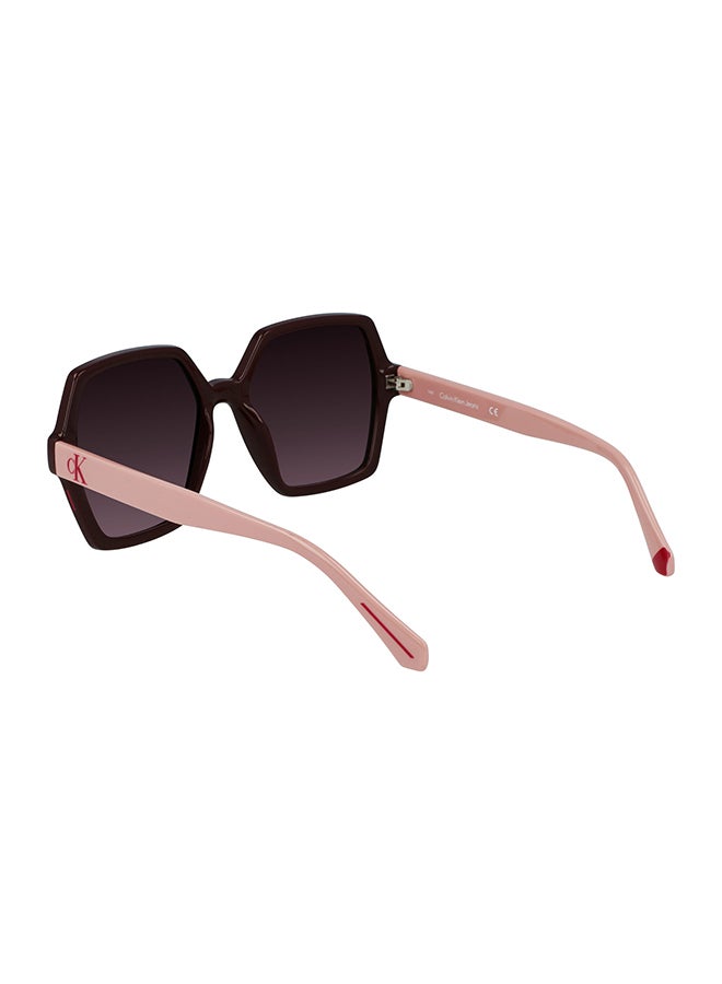 Calvin Klein Jeans Full Rim Injected Calvin Klein Jeans Sun Ckj21629S N 5518 (603) Burgundy - Image 2