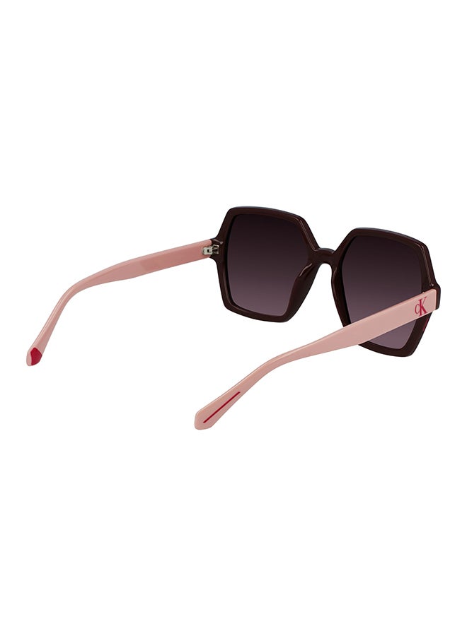 Calvin Klein Jeans Full Rim Injected Calvin Klein Jeans Sun Ckj21629S N 5518 (603) Burgundy - Image 4
