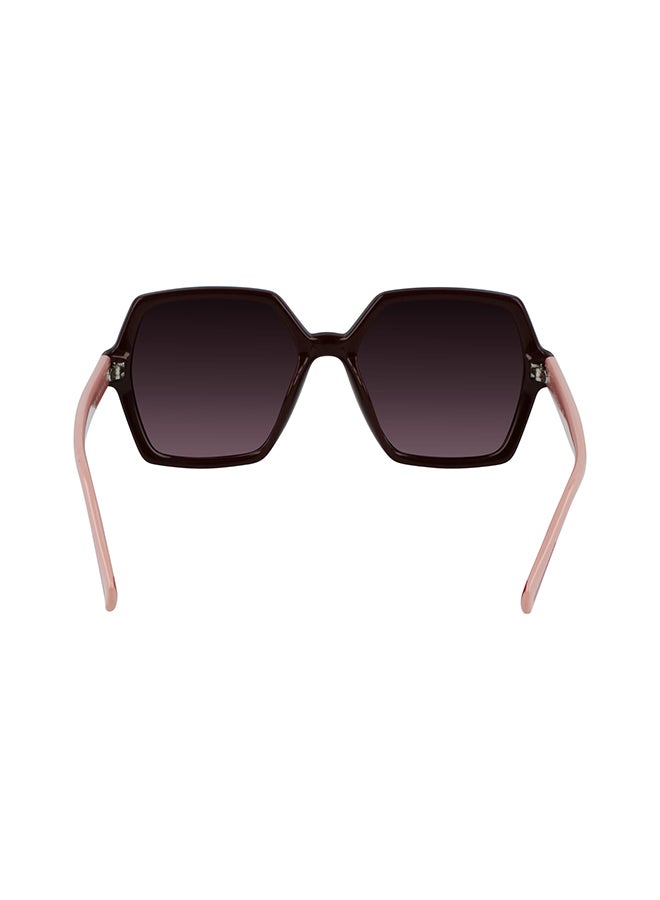Calvin Klein Jeans Full Rim Injected Calvin Klein Jeans Sun Ckj21629S N 5518 (603) Burgundy - Image 3