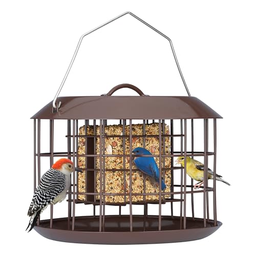 Kingsyard Squirrel Proof Suet Feeder, Cage Bird Feeders for Outdoors Hanging, All Metal, Double Suet Cake Capacity, Tray & Weatherproof, Brown - Image 1