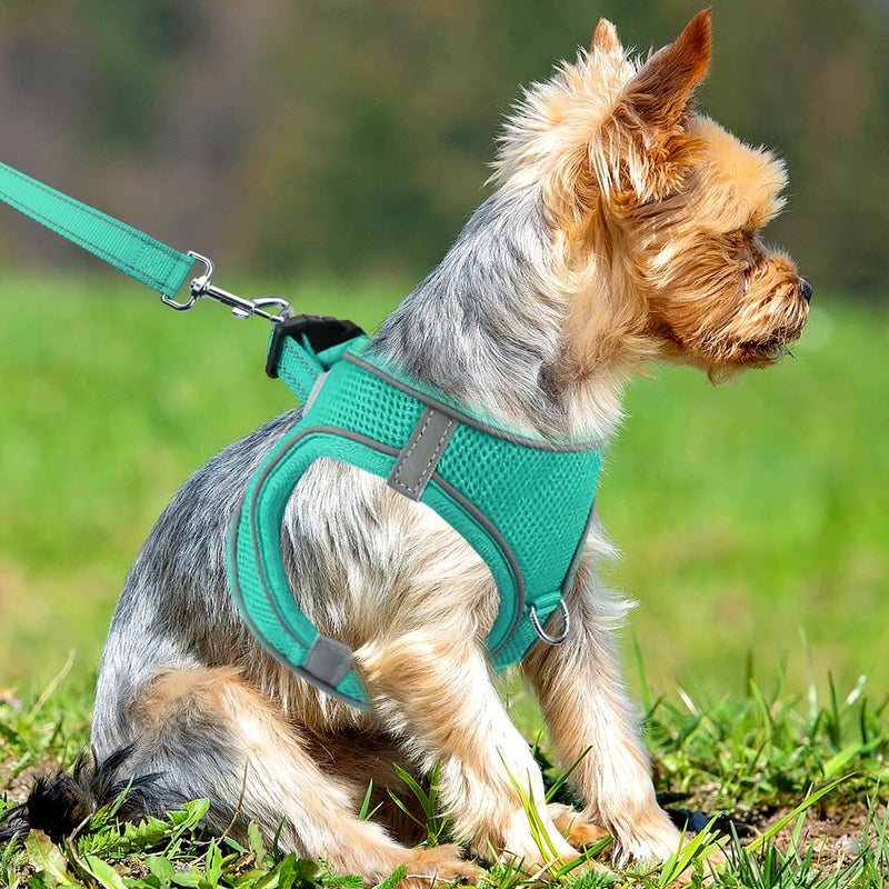 Joytale Small Dog Harness, Breathable Mesh Step-in Vest, Reflective Soft Padded Harnesses Small Sized Dog for Walking, Teal, S - Image 2