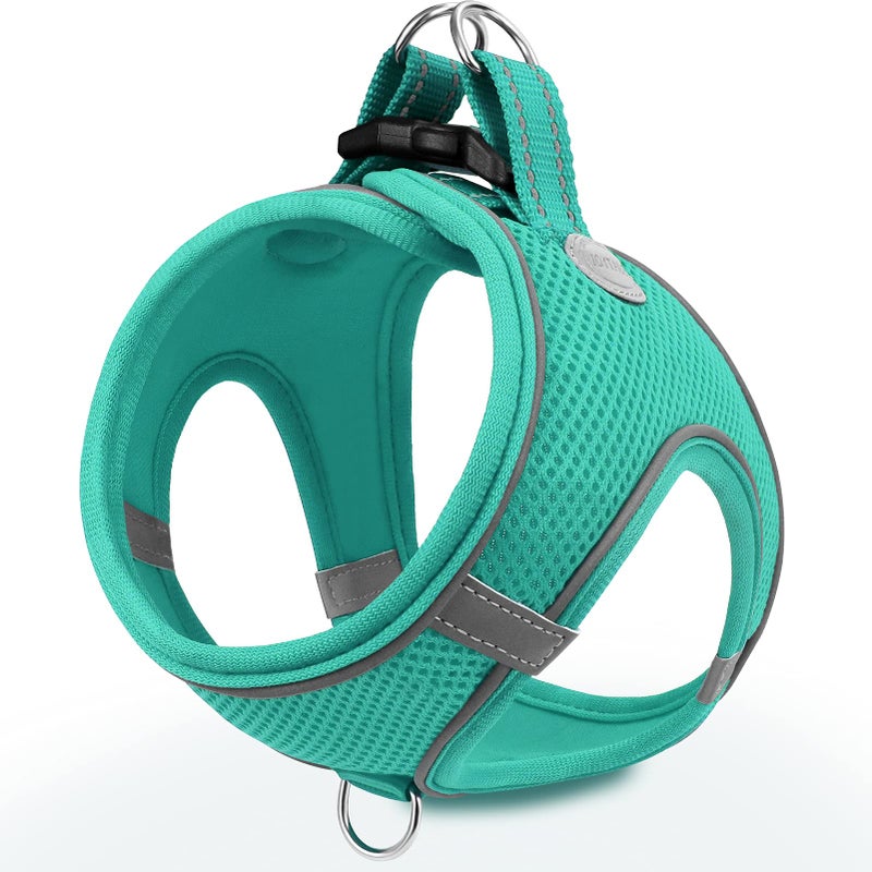 Joytale Small Dog Harness, Breathable Mesh Step-in Vest, Reflective Soft Padded Harnesses Small Sized Dog for Walking, Teal, S - Image 1