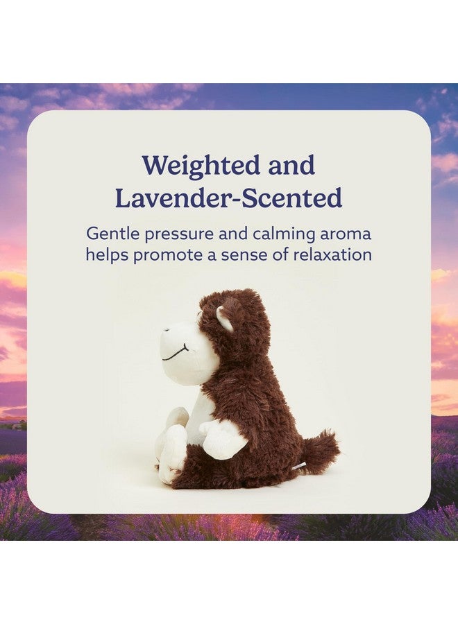 warmies Microwavable & Weighted Stuffed Animals, Monkey - Heated Stuffed Animal Plushie for Warmth & Comfort - Cute Soft Plush Toys for Adults & Children (Boys, Girls, Babies & Toddlers) - Image 3