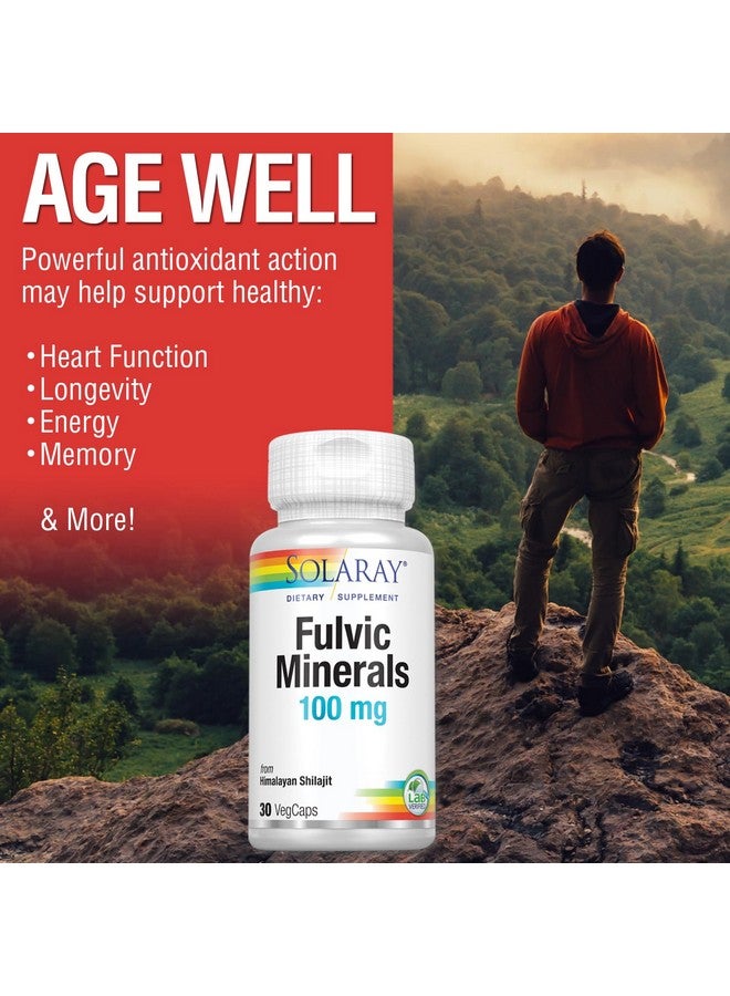 SOLARAY معادن فلفيك من سولاري 100 ملغ | شيلاجيت هيمالايا | دعم صحي للهضم والبشرة والدماغ | 30 كبسولة نباتية - Image 5