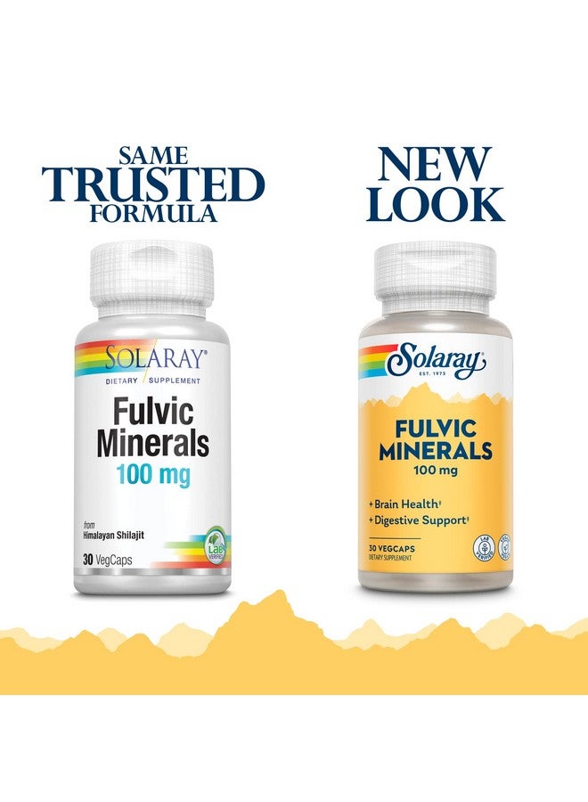 SOLARAY معادن فلفيك من سولاري 100 ملغ | شيلاجيت هيمالايا | دعم صحي للهضم والبشرة والدماغ | 30 كبسولة نباتية - Image 3
