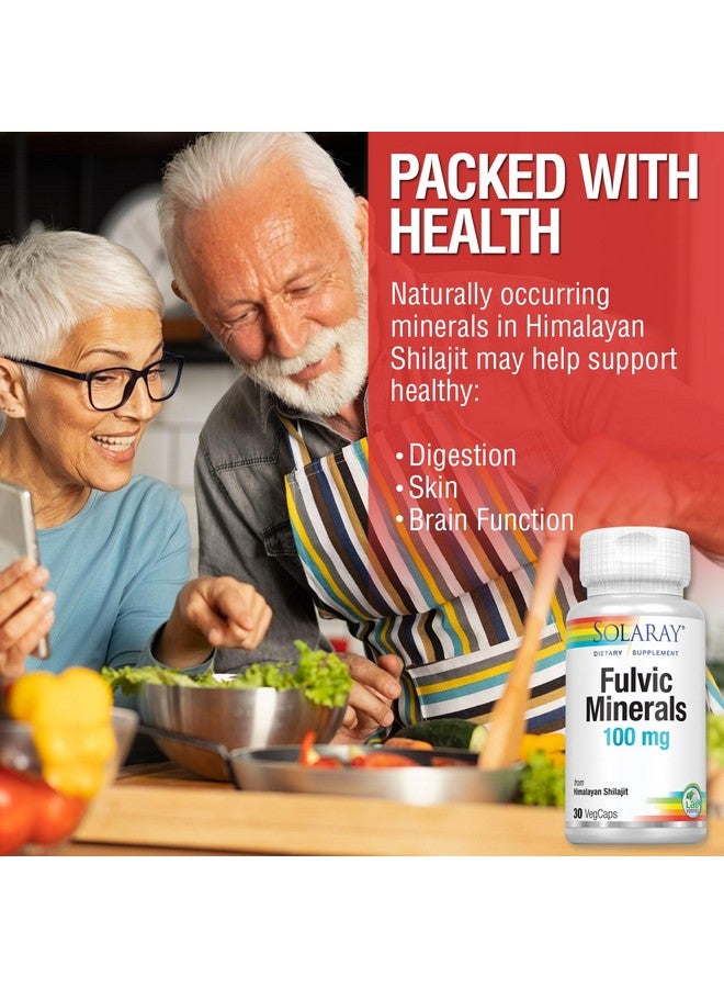 SOLARAY معادن فلفيك من سولاري 100 ملغ | شيلاجيت هيمالايا | دعم صحي للهضم والبشرة والدماغ | 30 كبسولة نباتية - Image 4