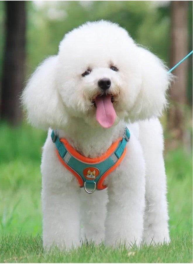 Al shams trading - Dog Harness For Small and Medium Dogs. Adjustable Dog Harness.No Pull, Easy Walk Soft Step in Escape Proof Reflective Harness and Leash Set - Image 1