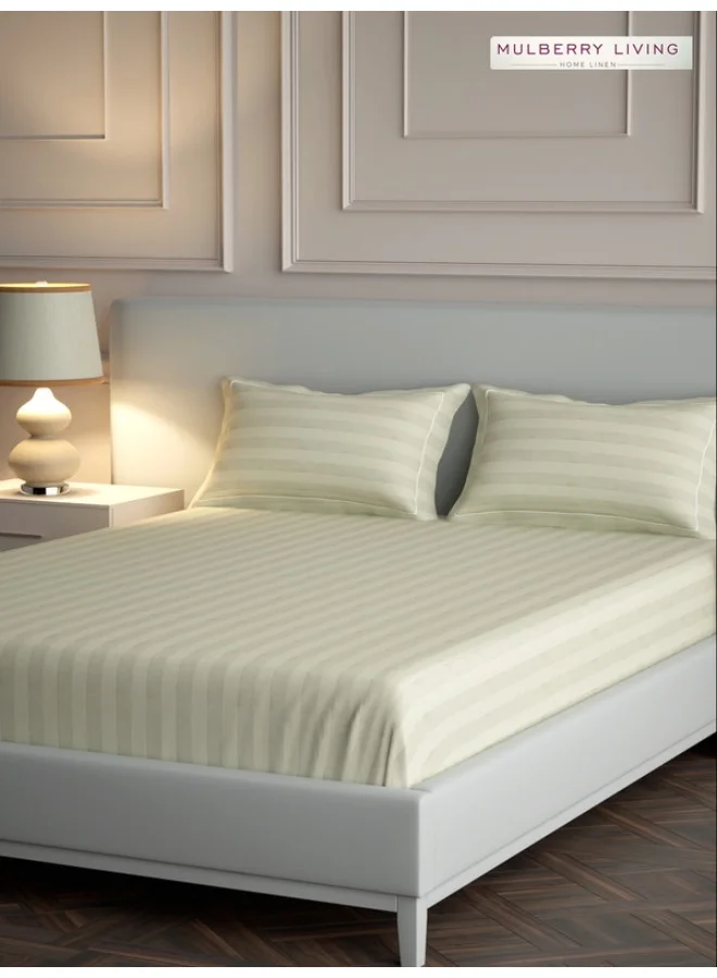 MULBERRY LIVING 100% Cotton - 300Tc Elysian Stripes Queen Size (250X260 Cms) Flat Bedsheet With 2 Pillow Covers (50X75 Cm) - Ivory