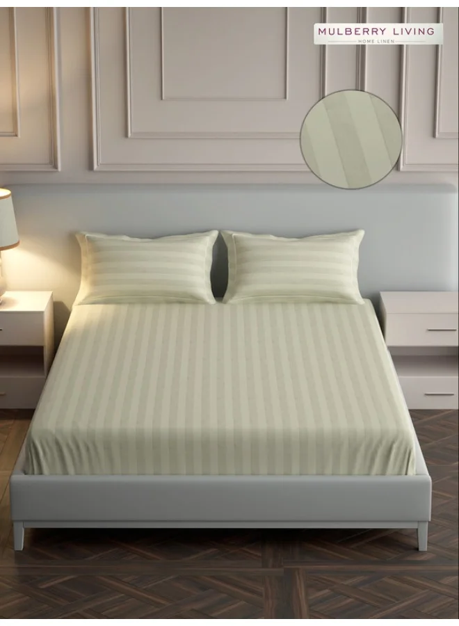MULBERRY LIVING 100% Cotton - 300Tc Elysian Stripes Queen Size (250X260 Cms) Flat Bedsheet With 2 Pillow Covers (50X75 Cm) - Ivory
