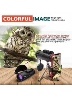 ROXANT Roxant Falcon Monocular Telescope for Smartphone - 10x42 High Definition BAK4 Prism Focusing Scope - Monoculars for Adults - Includes Monocular, Phone Adapter, Mini Tripod, Case & Lens Cap  - Image 3