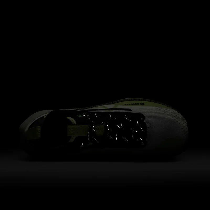 Nike Women's Pegasus Trail 4 GORE-TEX Waterproof Trail Shoe