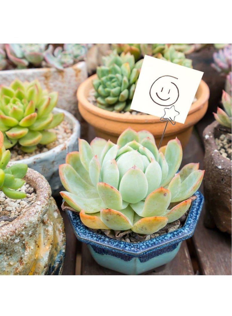 Excefore 50 Pcs Star Shape Metal Note Holder DIY Multifunctional Craft Clip Holder Photo Clip Holder Memo Clip Holder Silver - Image 4