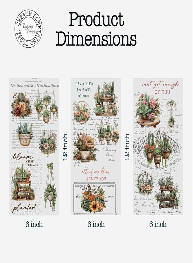 Thymeless Designs Rub on Transfers for Crafts and Furniture | 3 Sheets 6”x 12” | Home Decor Transfers | Furniture and Craft Decals | (Succulent Garden) - Image 5
