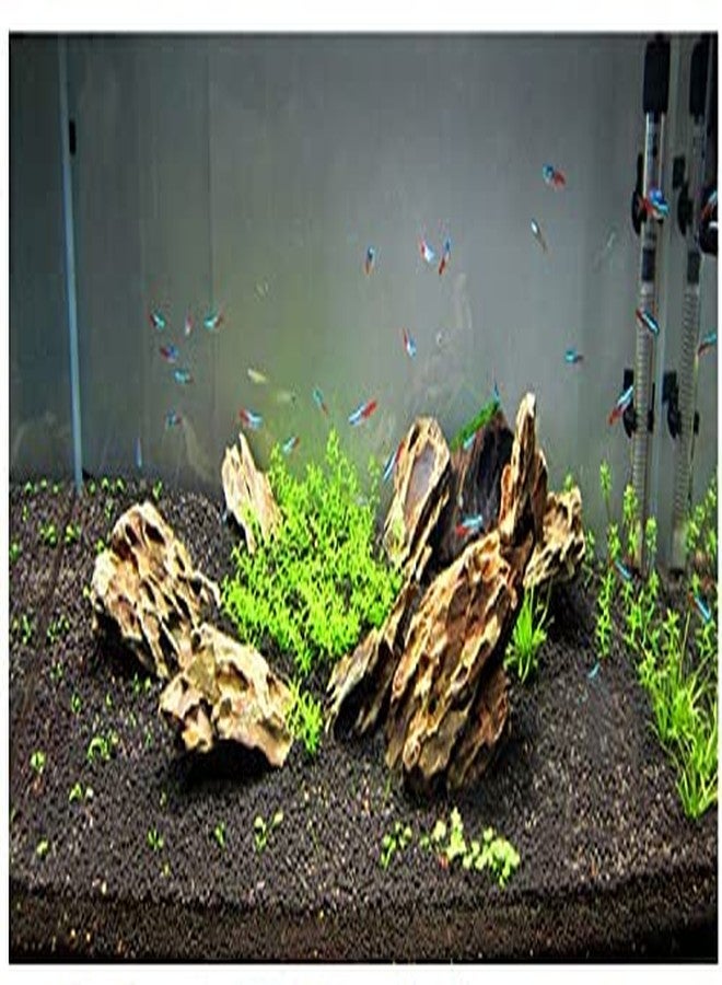 VAYINATO® Dragon Rock for Planted Aquarium Aqua scaping Hardscape Decoration Natural Rocks (3Kg) by Petzlifeworld - Image 3