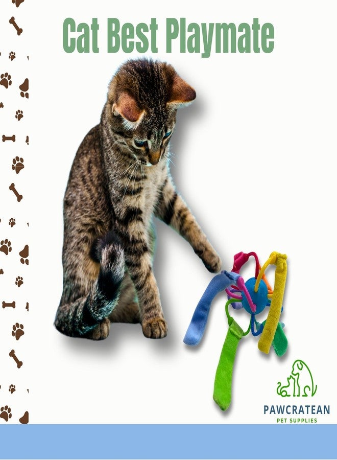 لعبة Pawcratean Catnip Sepak Takraw مع ورق متصدع، لعبة مضغ متينة وملونة للتسلية الذاتية - Image 3