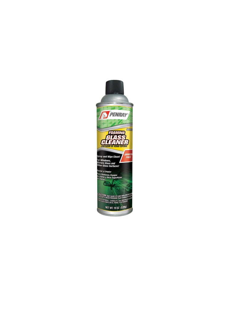 بينراي PENRAY رغوة منظف زجاج 19 OZ-84151  - Image 2