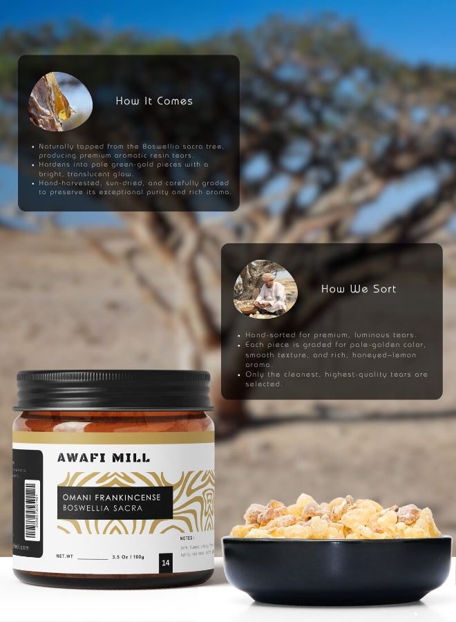 أباميك لبان عماني من شركة عواف ميل، بوسويليا ساكرا (اللبان الحلو)، 100 غرام (3.5 أونصة) - راتنج لبان صالح للأكل | علكة بوسويليا طبيعية للمضغ - Image 4