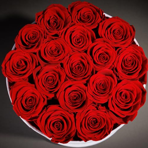 Prifroti 17 Flowers in a Luxury Suede Box, Birthday Gifts for Women, Preserved Flowers, Mothers Day Roses Gift for Mom, Red - Image 5