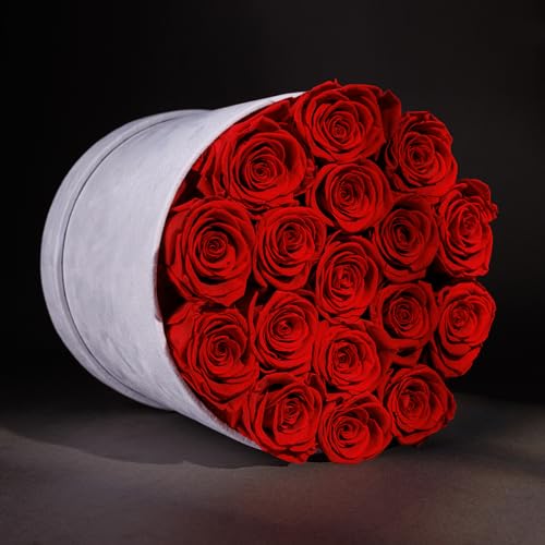 Prifroti 17 Flowers in a Luxury Suede Box, Birthday Gifts for Women, Preserved Flowers, Mothers Day Roses Gift for Mom, Red - Image 2