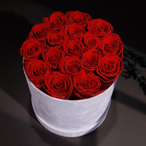 Prifroti 17 Flowers in a Luxury Suede Box, Birthday Gifts for Women, Preserved Flowers, Mothers Day Roses Gift for Mom, Red - Image 4