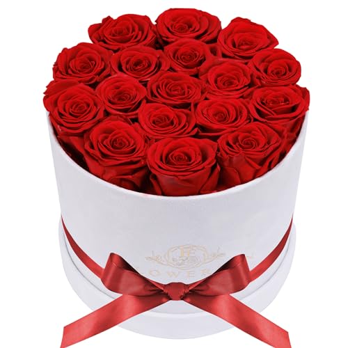 Prifroti 17 Flowers in a Luxury Suede Box, Birthday Gifts for Women, Preserved Flowers, Mothers Day Roses Gift for Mom, Red - Image 1