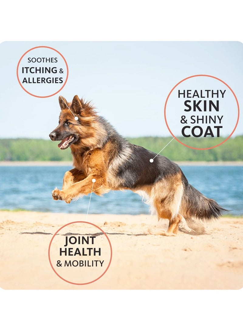 Brilliant Brilliant Salmon Oil For Dogs And Cats  - Image 3