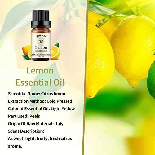 yethious Lemon Essential Oils for Diffuser & Aromatherapy Pure Lemon Oil for Skin, Hair Gift Oils - 10ML - Image 2