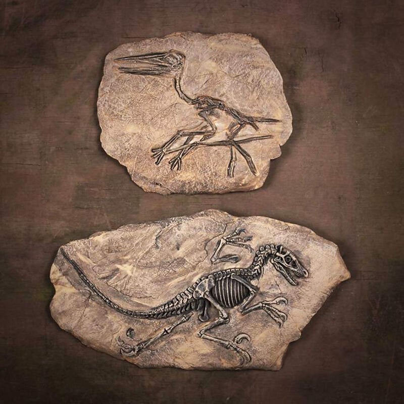 XINDAM Resin Dinosaur Fossil Statue Model Simulated Skeleton Home Office Display Decorative Craft Box Decoration (Style 2) - Image 4