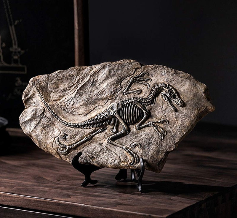 XINDAM Resin Dinosaur Fossil Statue Model Simulated Skeleton Home Office Display Decorative Craft Box Decoration (Style 2) - Image 3