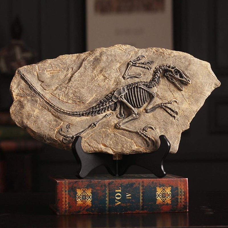 XINDAM Resin Dinosaur Fossil Statue Model Simulated Skeleton Home Office Display Decorative Craft Box Decoration (Style 2) - Image 1