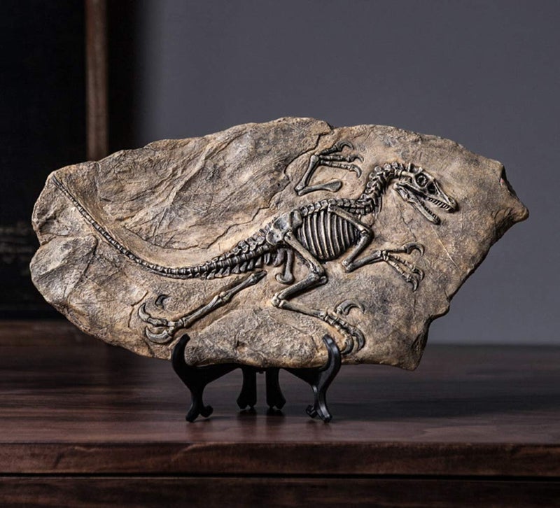XINDAM Resin Dinosaur Fossil Statue Model Simulated Skeleton Home Office Display Decorative Craft Box Decoration (Style 2) - Image 2