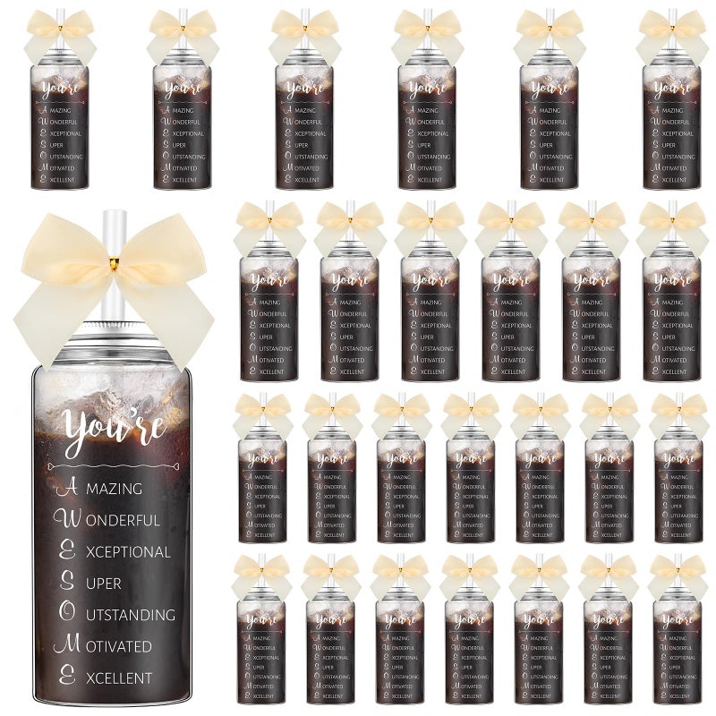 Skylety 24 Pack Inspirational Appreciation Gifts Bulk for Women Employee Coworker Teacher Appreciation Gift Cups Bulk with Lid Straw 135 oz You Are Awesome Gifts Plastic Tumbler for Employee Staff - Image 2