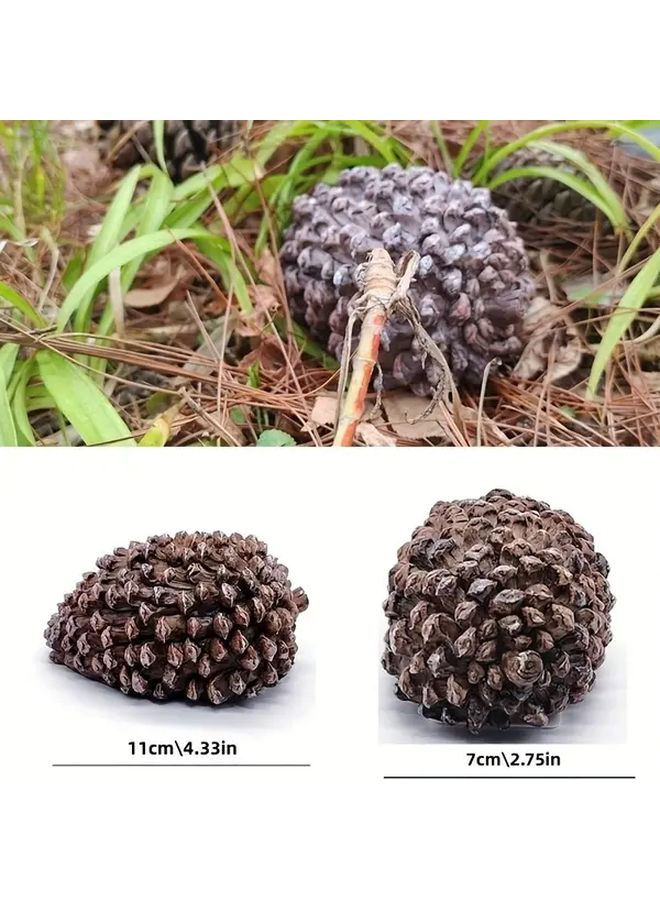 Pine Cone Key Box With Lock Waterproof PVC Outdoor Hidden Key Holder 1pc - Image 4