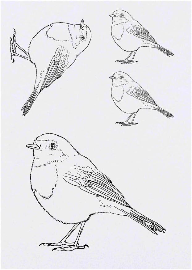 4 x Robin Temporary Tattoos Water Resistant SkinSafe NonToxic Transfers Mixed Sizes TO00033263