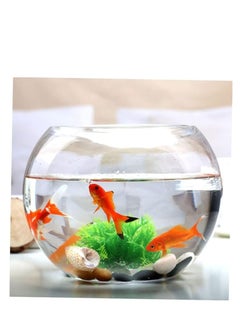 Round glass bowl aquarium fish tank small glass vase large round fish bowl fish tank (Diameter 25 cm) - pzsku/Z18D8B3628D13937D8C3EZ/45/_/1723977801/78abc279-0b41-4848-9adf-790b983cd33f