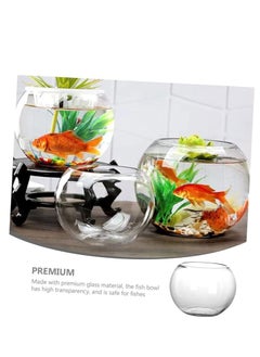 Round glass bowl aquarium fish tank small glass vase large round fish bowl fish tank (Diameter 25 cm) - pzsku/Z18D8B3628D13937D8C3EZ/45/_/1723977821/0eded050-6953-4ec5-adc1-e71b300b9724