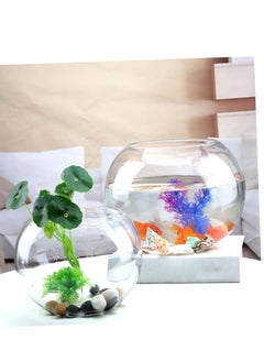 Round glass bowl aquarium fish tank small glass vase large round fish bowl fish tank (Diameter 25 cm) - pzsku/Z18D8B3628D13937D8C3EZ/45/_/1723977831/4d605b9b-e139-463d-90ca-d31fc4a9661a