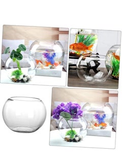 Round glass bowl aquarium fish tank small glass vase large round fish bowl fish tank (Diameter 25 cm) - pzsku/Z18D8B3628D13937D8C3EZ/45/_/1723977843/00b9e212-2684-48a1-a75b-672bf7831018