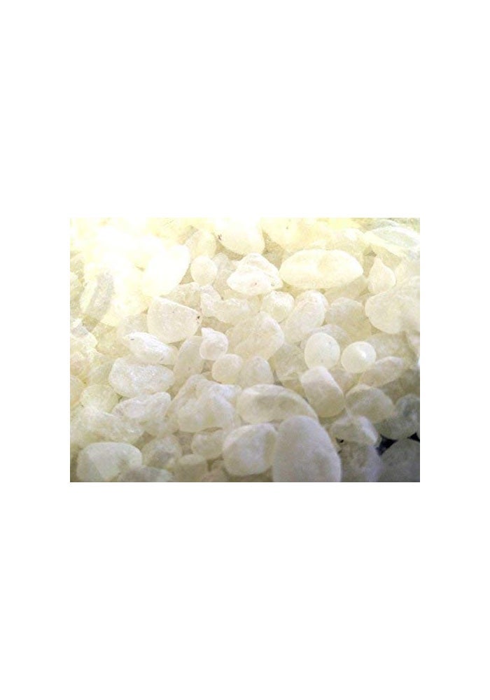 Chios Mastic Chios Mastiha Tears Gum Greek 100% Natural Mastic Packs From Mastic Growers (25gr Medium Tears) - Image 3