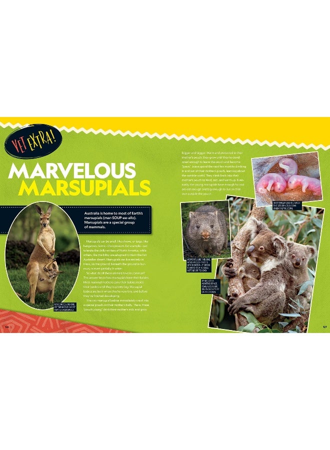 Wild Vet Adventures : Saving Animals around the World with Dr. Gabby Wild - Image 5