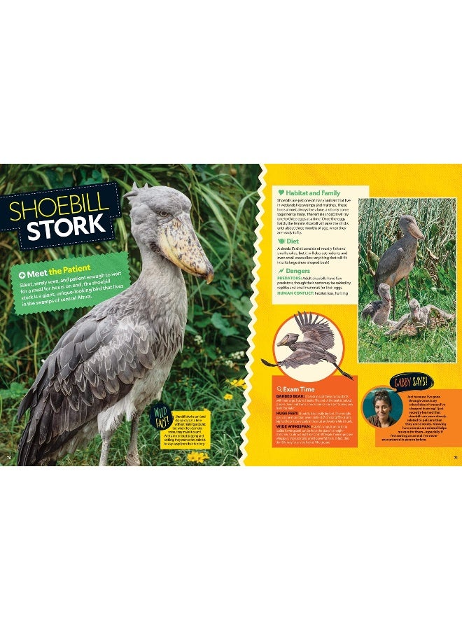 Wild Vet Adventures : Saving Animals around the World with Dr. Gabby Wild - Image 3