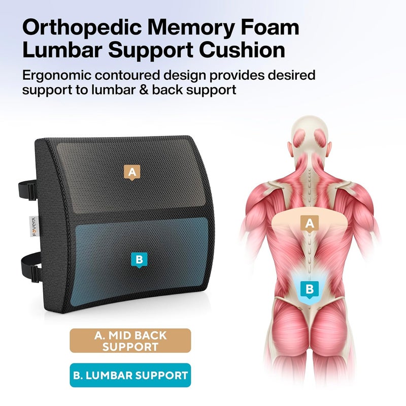 FOVERA Lumbar Support for Chair Orthopedic Back Support Memory Foam Backrest Cushion Designed for Back Pain Relief Ideal Back Pillow for ComputerOffice Chair Mesh Black Standard - Image 5