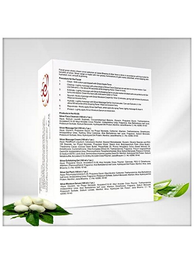 Vedicline Silver Facial Kit Reduce Dead Cells Impurities & Blackhead With Goodness Of Silk Proteinsaloe Vera For Glowing Skin 600Ml - Image 4