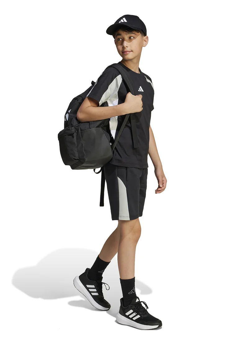 Adidas Youth Seasonal Essential Colorblock T-Shirt