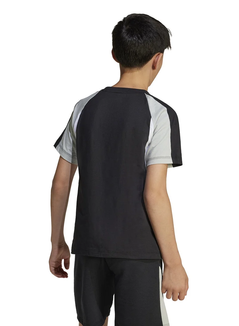 Adidas Youth Seasonal Essential Colorblock T-Shirt