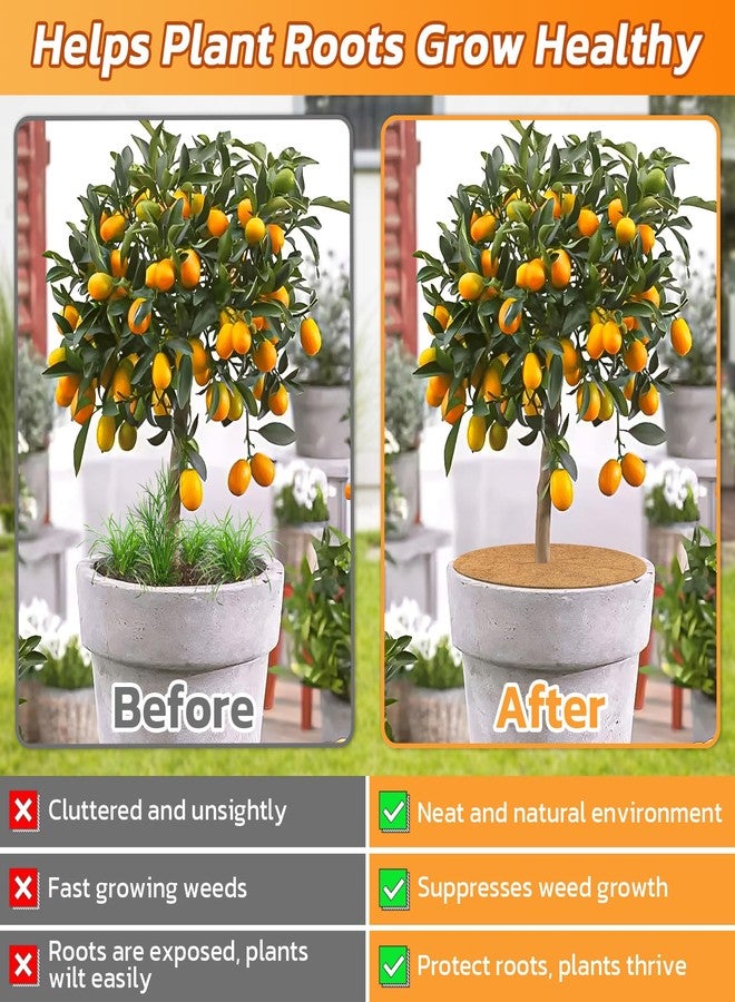Legigo 4pcs Coconut Fiber Mulch Ring Tree Plant Protector Mat, 24 Inch Natural Coco Coir Tree Protection Ring Plant Pot Soil Cover, Tree Rings Disc Plant Cover for Indoor Outdoor Plants,Landscaping - Image 5